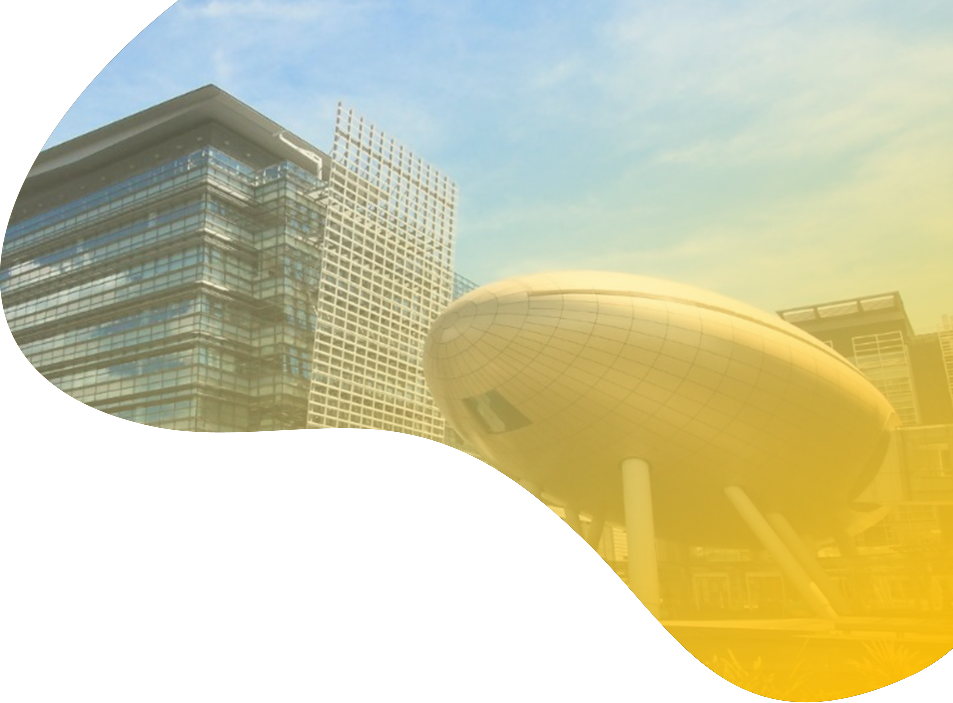 About Our Team Bingo(HK)